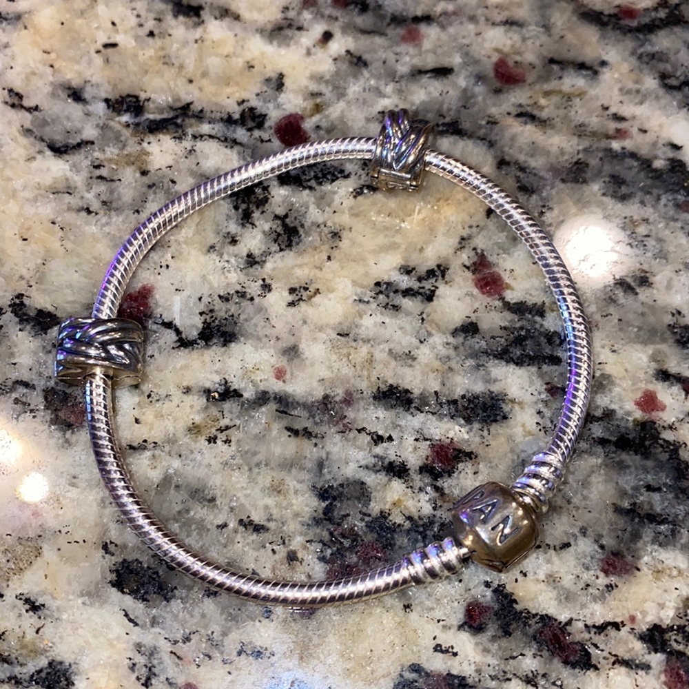 Pandora Charm Bracelet
